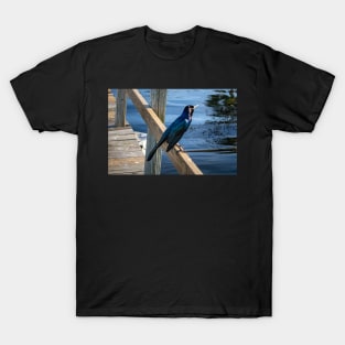 Bluish T-Shirt